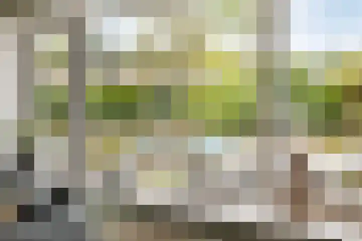 Koninglaan 2 Helmond thumbnail 16
