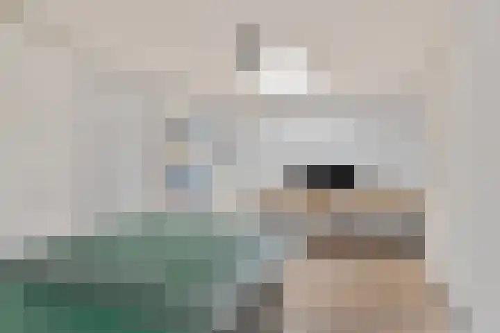 Koninglaan 2 Helmond thumbnail 26