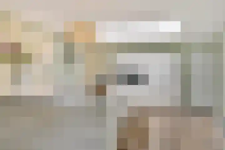 Koninglaan 2 Helmond thumbnail 4