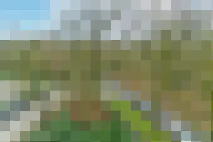 Koningsberg 20 Doorwerth thumbnail 24