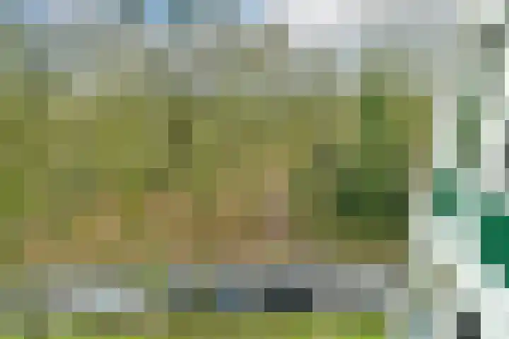 Koningsberg 20 Doorwerth thumbnail 25