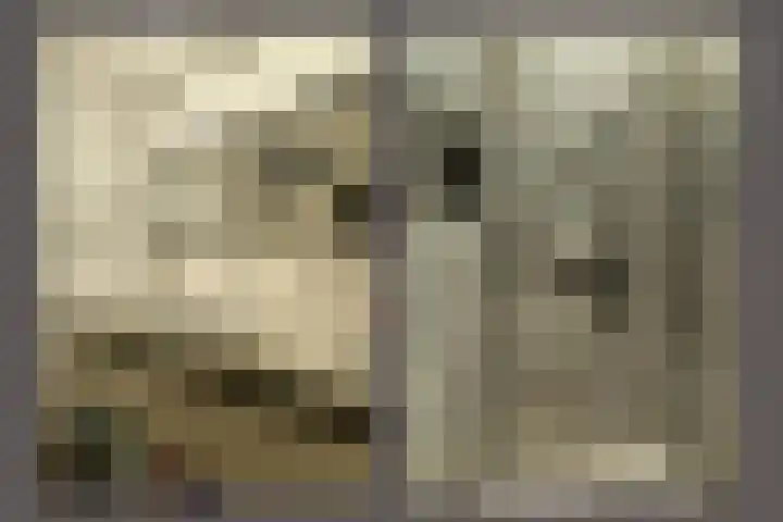 Koningsberg 20 Doorwerth thumbnail 31
