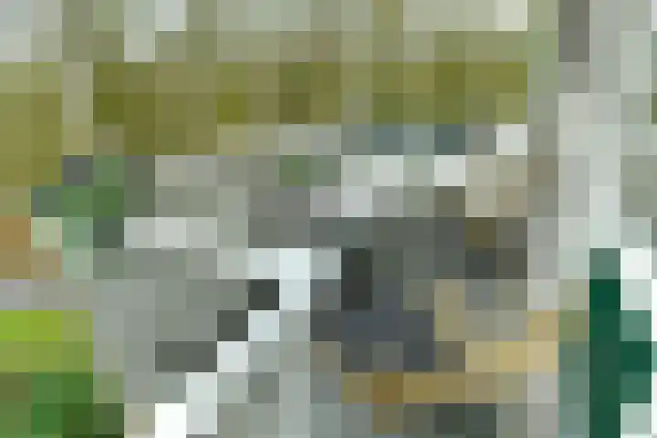 Koningsberg 20 Doorwerth thumbnail 4