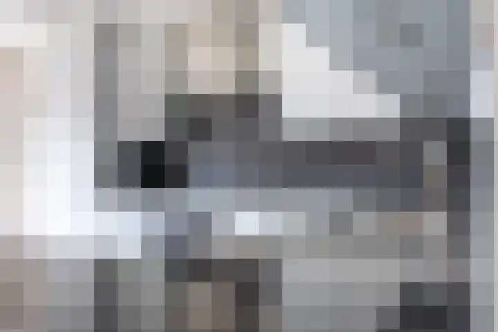 Koningsbergen 32 Wormer thumbnail 15