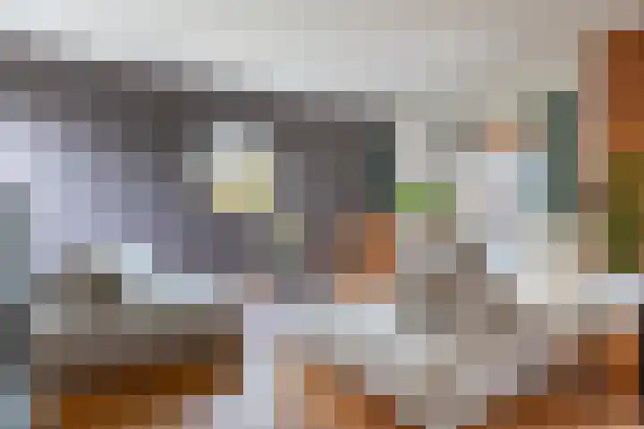 Koningsbergen 32 Wormer thumbnail 8