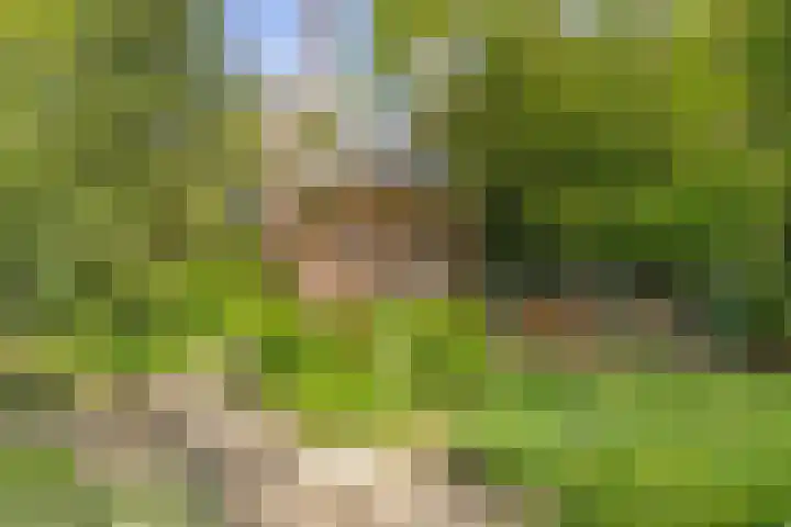 Koningsdiep 7 Brielle thumbnail 70