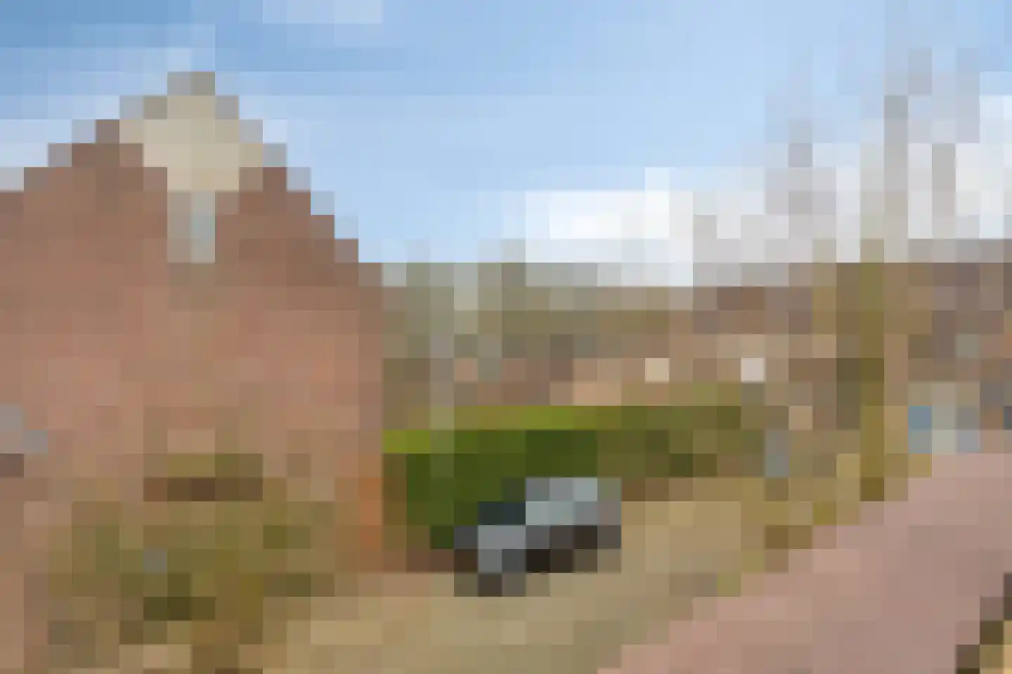 Koningshof 13 Ede thumbnail 41