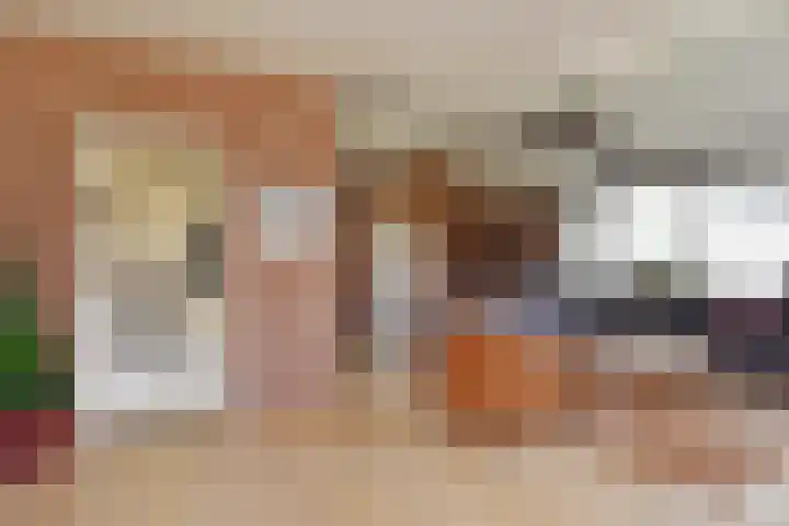 Koningshof 26 Pijnacker thumbnail 13