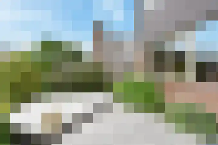 Koningshof 26 Pijnacker thumbnail 24