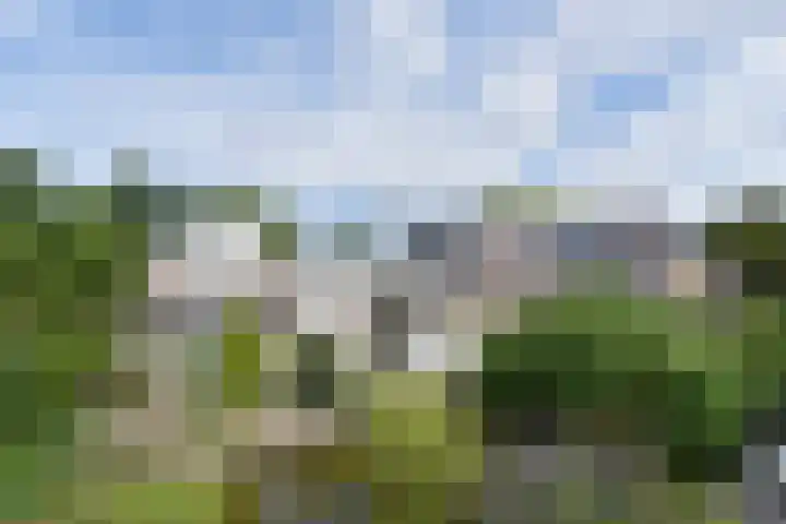 Koningshof 26 Pijnacker thumbnail 45