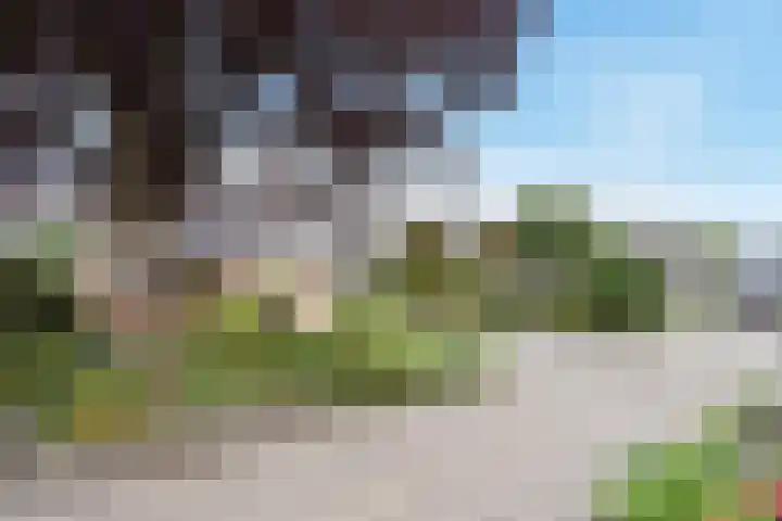 Koningshof 26 Pijnacker thumbnail 48