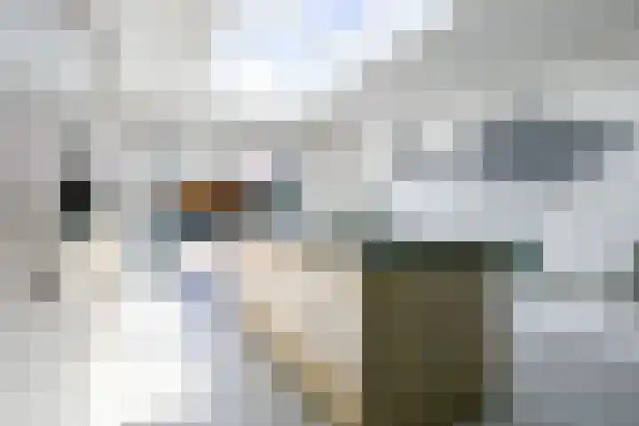 Koningshof 6 Medemblik thumbnail 7