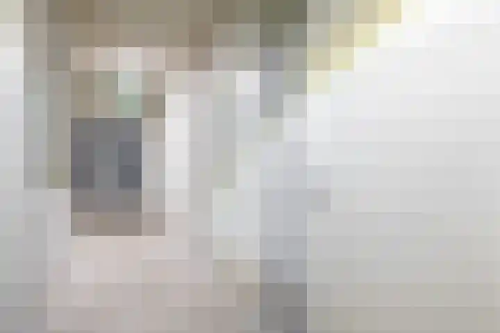 Koningshof 9 Ridderkerk thumbnail 33
