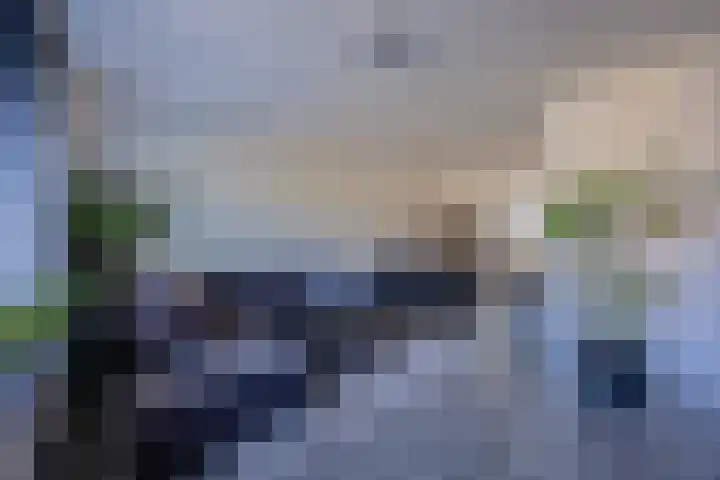 Koningsholster 83 Beek thumbnail 11
