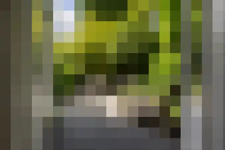 Koningslaan 3 Bussum thumbnail 16