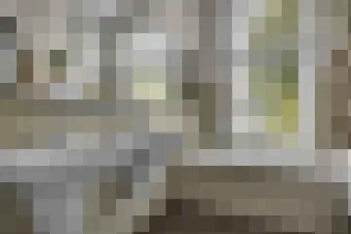 Koningslaan 3 Bussum thumbnail 19