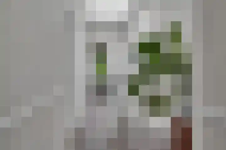 Koningslaan 3 Bussum thumbnail 21