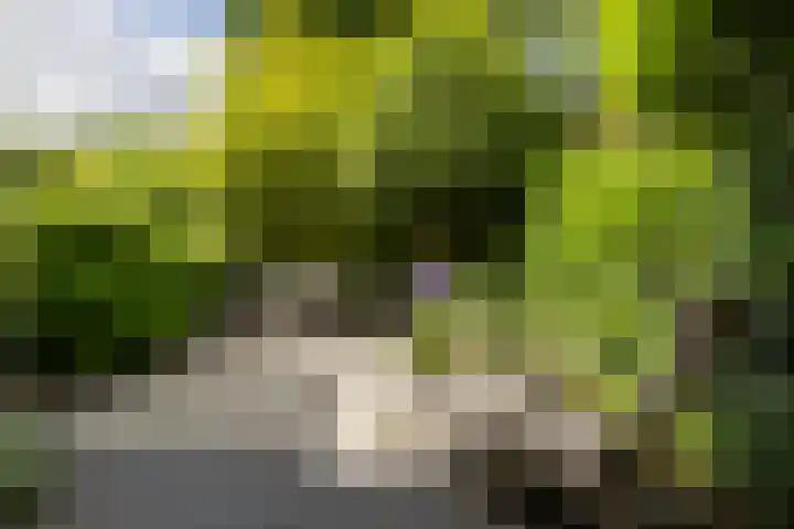 Koningslaan 3 Bussum thumbnail 30
