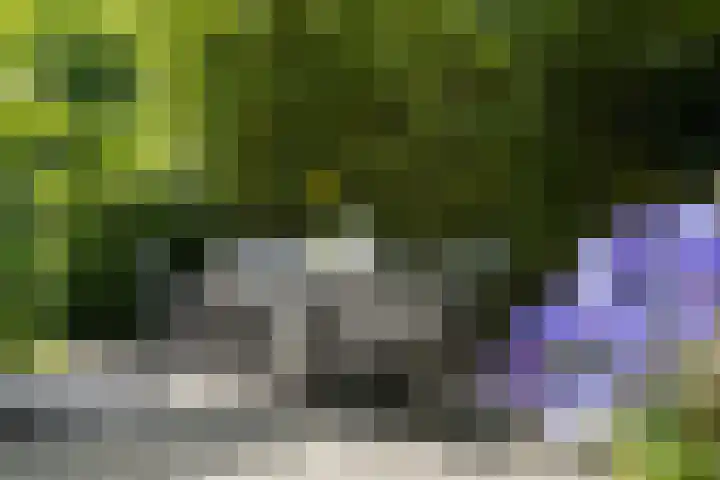 Koningslaan 3 Bussum thumbnail 33
