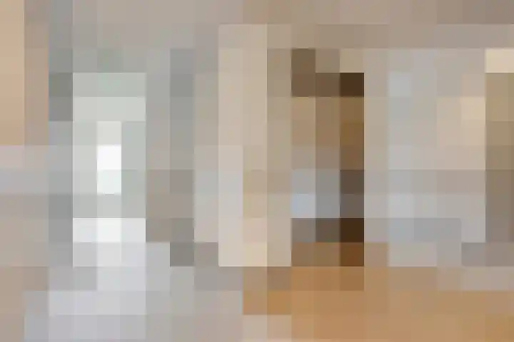 Koningsloper 165 Oss thumbnail 12