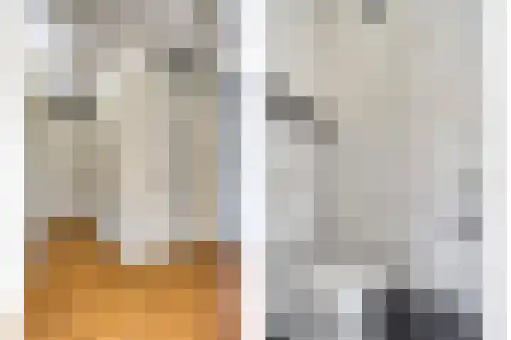 Koningsloper 165 Oss thumbnail 13