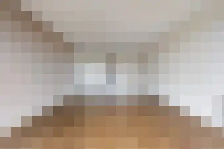 Koningsloper 165 Oss thumbnail 16