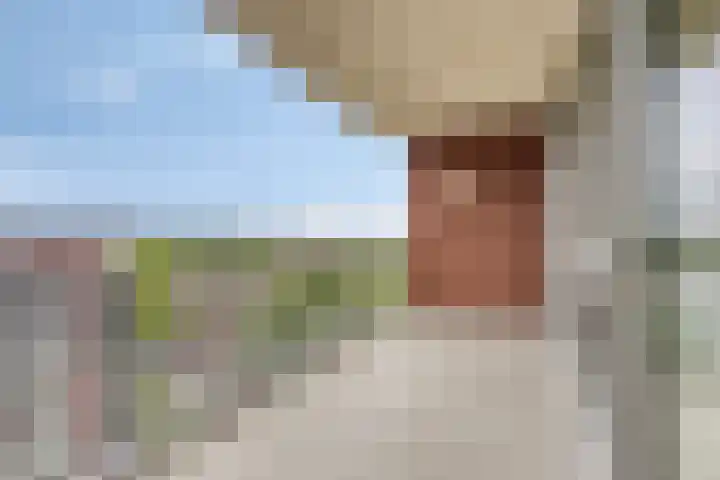 Koningsloper 165 Oss thumbnail 17