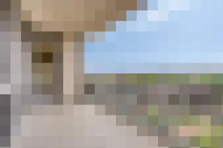 Koningsloper 165 Oss thumbnail 18