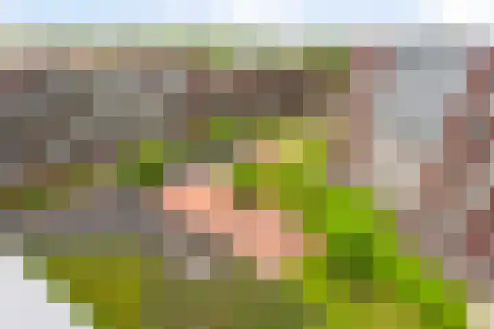 Koningsloper 165 Oss thumbnail 19