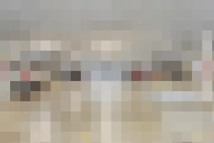 Koningsloper 165 Oss thumbnail 27