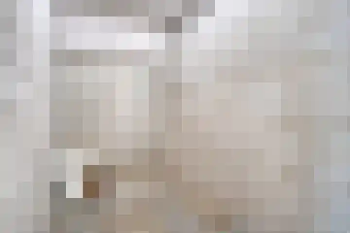 Koningsloper 165 Oss thumbnail 30