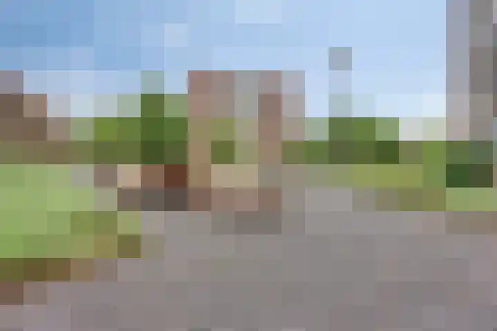 Koningsloper 165 Oss thumbnail 31