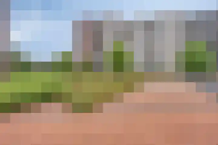 Koningsloper 165 Oss thumbnail 32