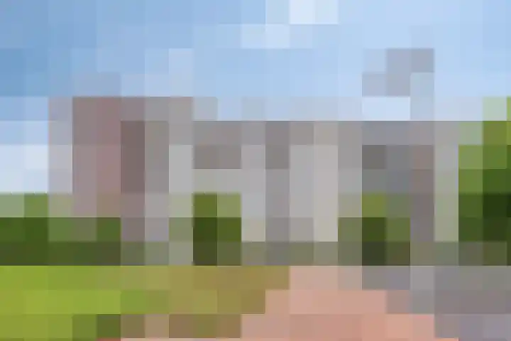 Koningsloper 165 Oss thumbnail 33