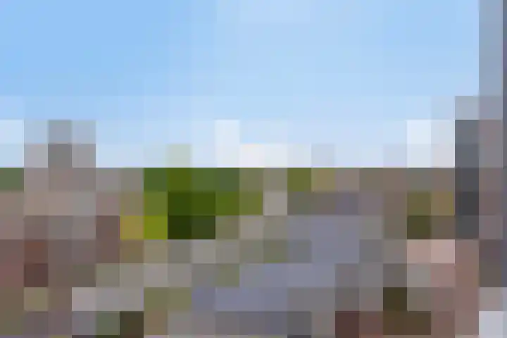 Koningsloper 165 Oss thumbnail 35