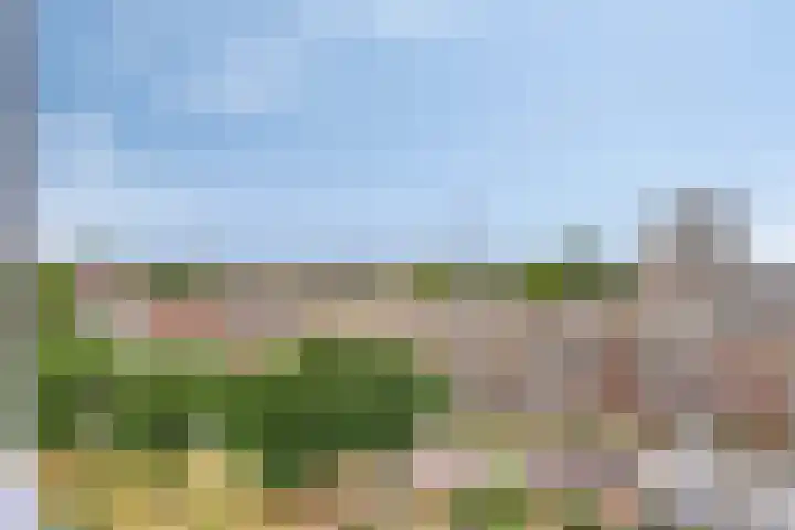 Koningsloper 165 Oss thumbnail 36