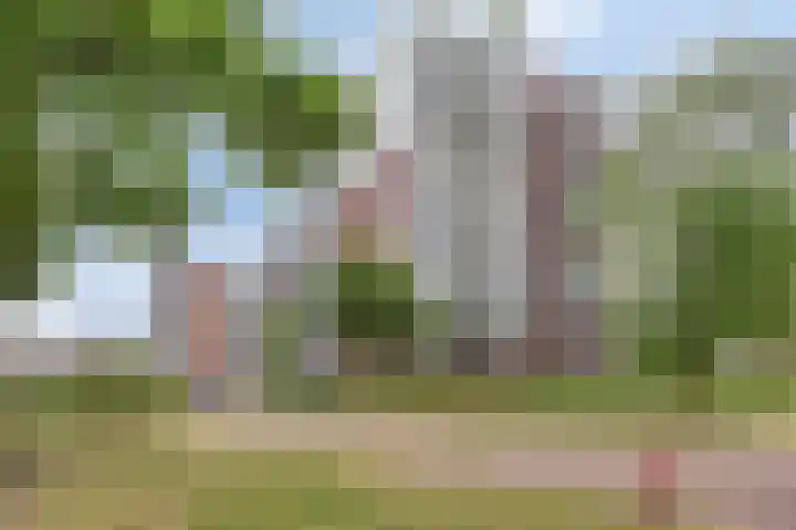 Koningsloper 165 Oss thumbnail 5