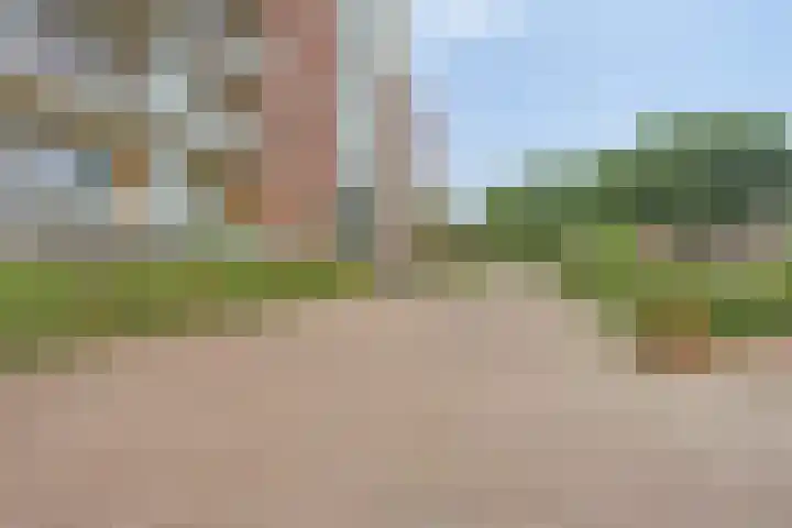 Koningsloper 165 Oss thumbnail 6