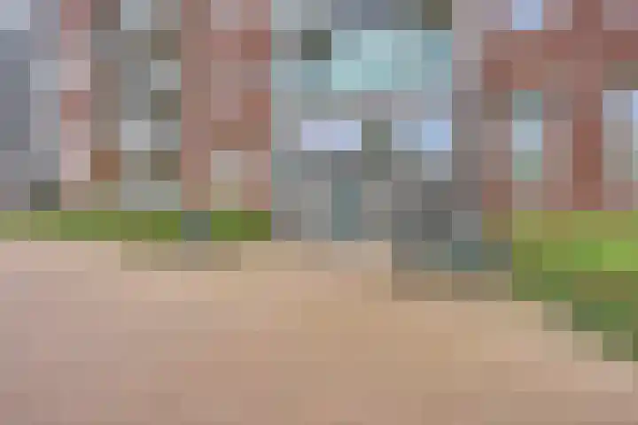 Koningsloper 165 Oss thumbnail 7