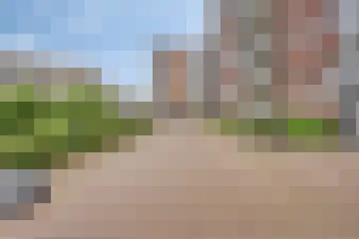 Koningsloper 165 Oss thumbnail 8