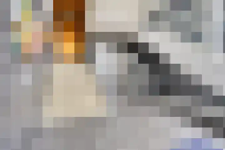 Koningsloper 165 Oss thumbnail 9