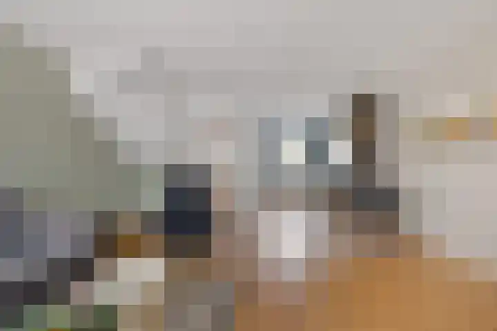 Koningsmantel 64 Assen thumbnail 13