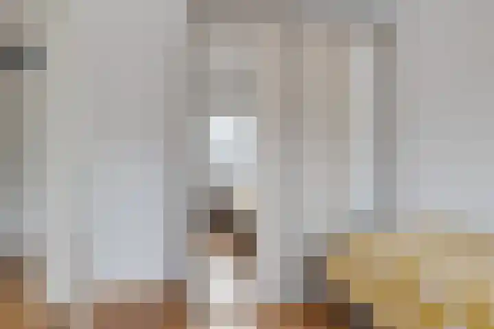 Koningsmantel 64 Assen thumbnail 27