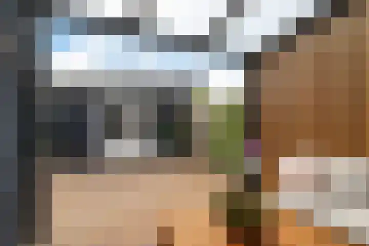 Koningsmantel 64 Assen thumbnail 35