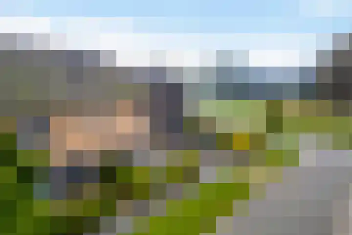 Koningsmantel 64 Assen thumbnail 41