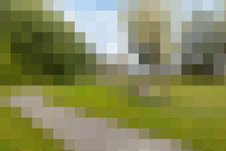 Koningsmantel 64 Assen thumbnail 42