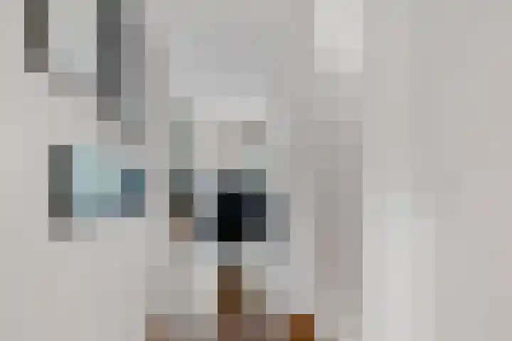 Koningsmantel 64 Assen thumbnail 9