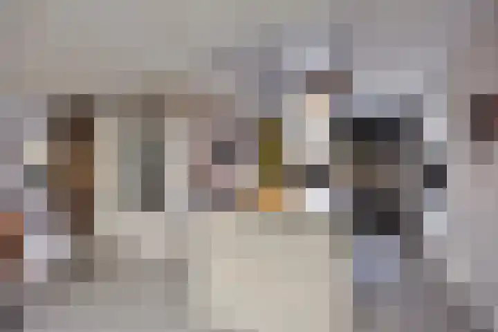 Koningsmantel 9 Assen thumbnail 11