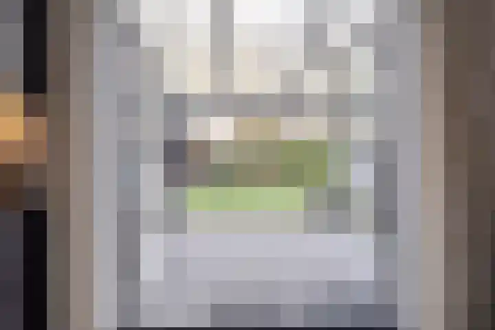 Koningsmantel 9 Assen thumbnail 12