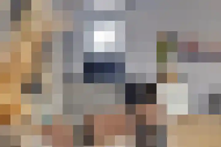 Koningsmantel 9 Assen thumbnail 17